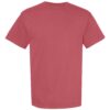 Unisex Garment-Dyed T-shirt 1717 - Image 6