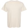 Unisex Garment-Dyed T-shirt 1717 - Image 4